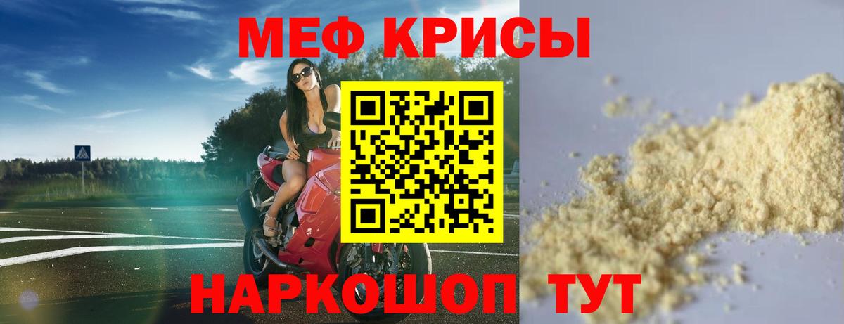 МЕФ Котлас